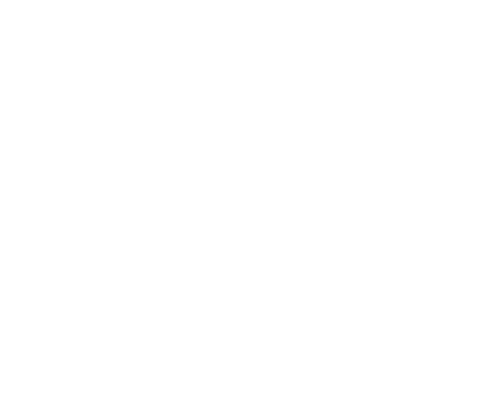 Beach Chair