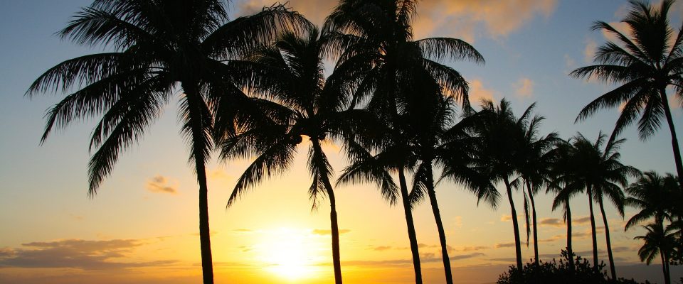 Honolulu beach sunset