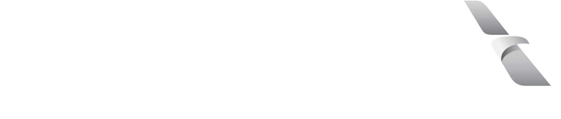 American Airlines Group Logo